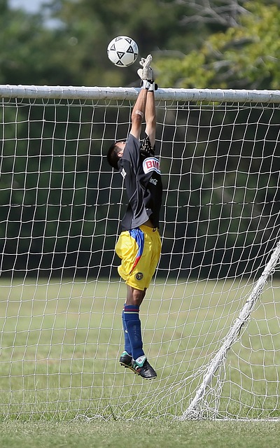 不仅是他篮 不仅是他篮