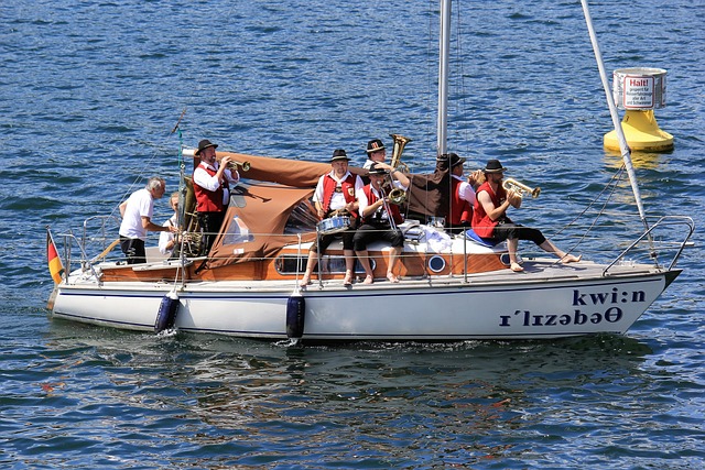 政府出台了 政府出台了