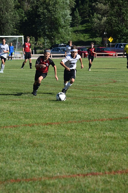 将成为他们 将成为他们