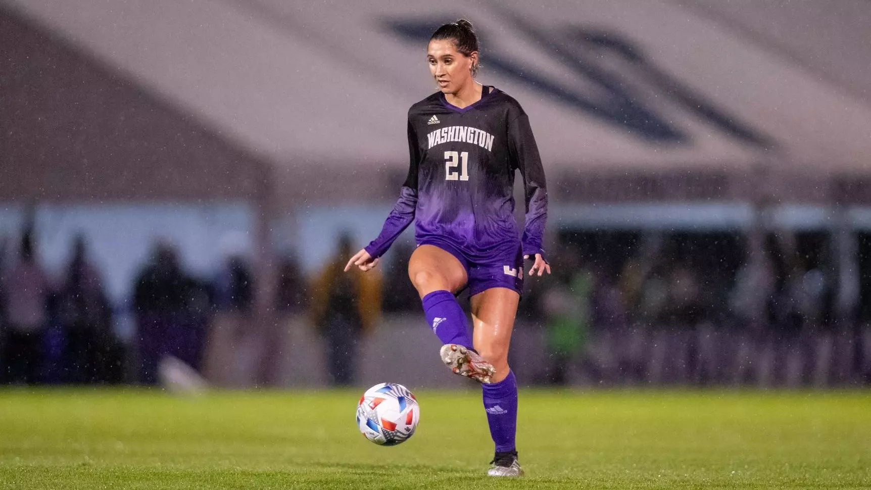 波特的声音 波特的声音